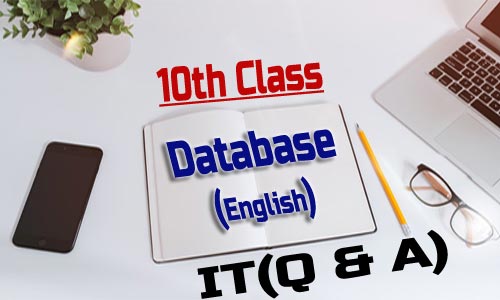 10th Class - Database (English)