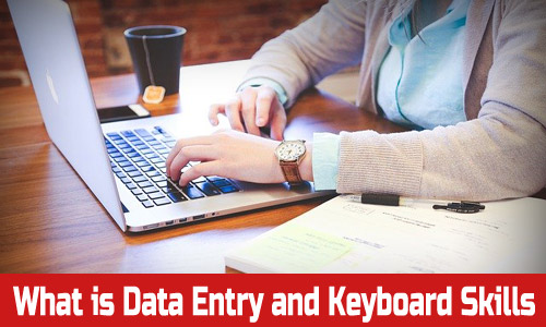 What is Data Entry