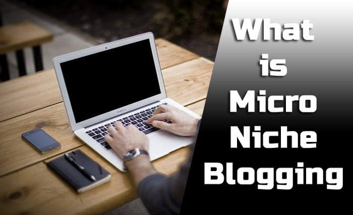 Micro Niche Blogging क्या है? कैसे करे ? What is Micro niche Blogging in Hindi 2021