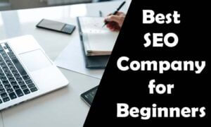 Best Seo Company in India