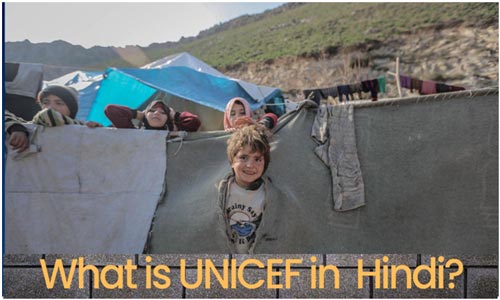 what is unicef in hindi