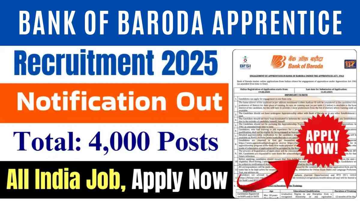 Bank of Baroda Apprentice Vacancy 2025